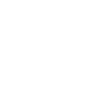 Icon Money